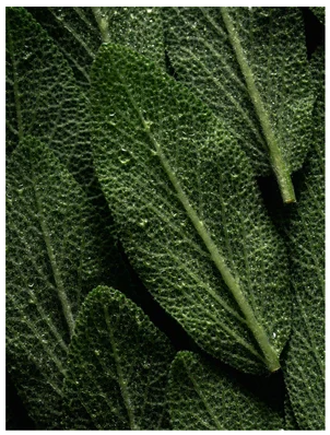 Keratiini Volume Boost -shampoo, 390 ml