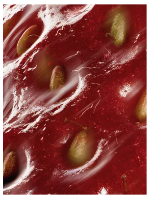 Peptide Anti-Aging Serum, 30 ml