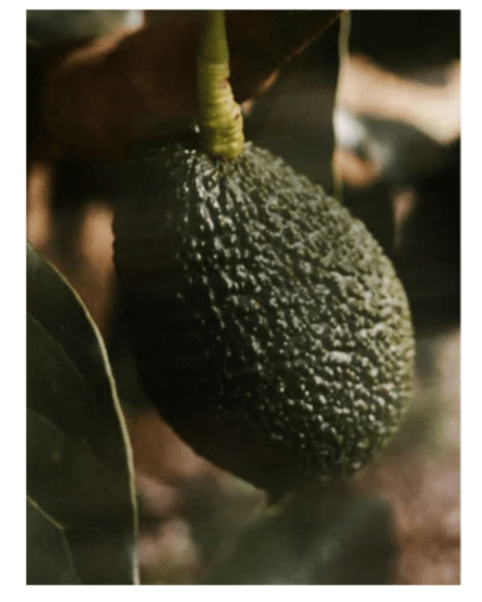 Grön frukt med karakteristisk nätliknande textur och mörka fläckar, naturlig källa till vitamin C