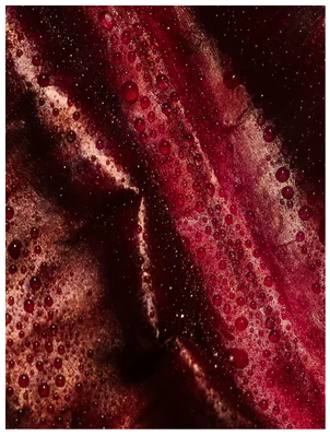 Ikääntymistä ehkäisevä päivävoide, 15 ml