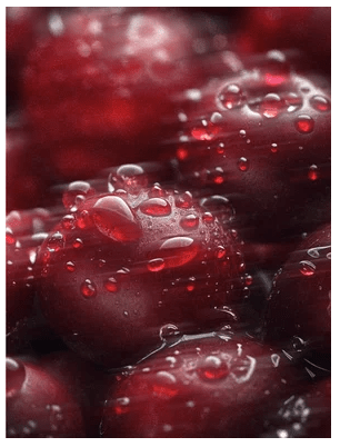 Röda bär med vattendroppar i närbild, symboliserar naturliga ingredienser i Glycolic Acid Exfoliating Toner