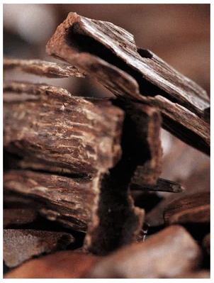 Keratin Volume Boost Shampoo, 390 ml