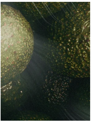 Nourishing Facial Oil, 30 ml