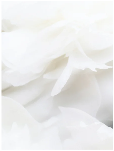 Sensitive Scalp Shampoo - Mild Schampo för Känslig Hårbotten, 400 ml