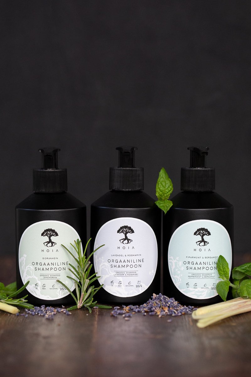 Tre svarta pumpflaskor HOIA ekologiskt schampo med pepparmint, bergamot och rosmarin på träyta med örter.